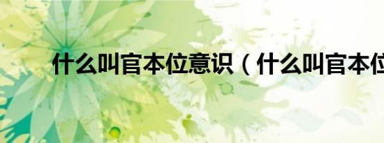 什么叫官本位意识（什么叫官本位）