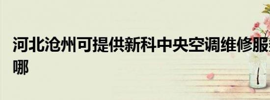 河北沧州可提供新科中央空调维修服务地址在哪