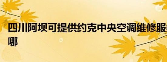 四川阿坝可提供约克中央空调维修服务地址在哪