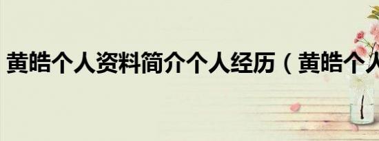 黄皓个人资料简介个人经历（黄皓个人资料）