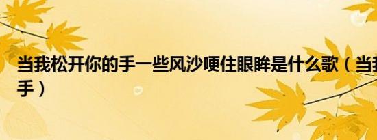 当我松开你的手一些风沙哽住眼眸是什么歌（当我松开你的手）