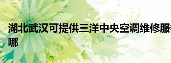 湖北武汉可提供三洋中央空调维修服务地址在哪