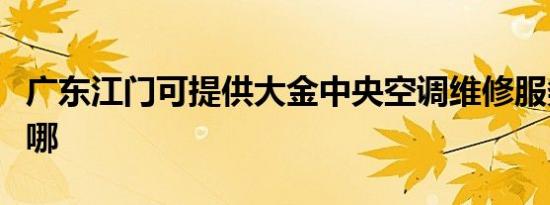 广东江门可提供大金中央空调维修服务地址在哪