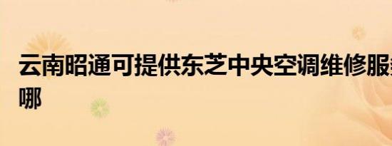 云南昭通可提供东芝中央空调维修服务地址在哪