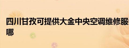 四川甘孜可提供大金中央空调维修服务地址在哪