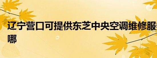 辽宁营口可提供东芝中央空调维修服务地址在哪