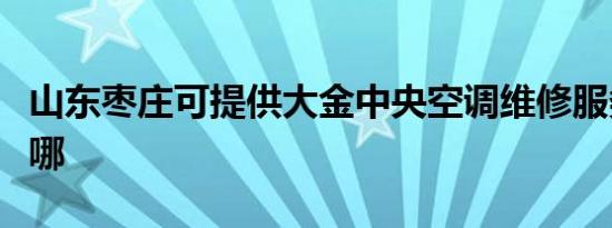 山东枣庄可提供大金中央空调维修服务地址在哪