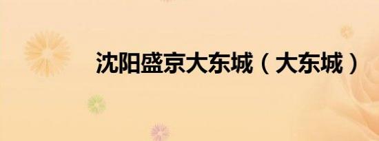 沈阳盛京大东城（大东城）