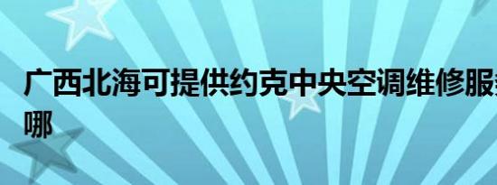 广西北海可提供约克中央空调维修服务地址在哪