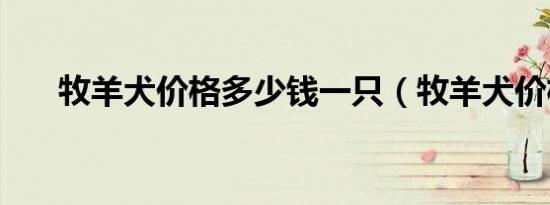 牧羊犬价格多少钱一只（牧羊犬价格）