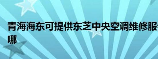 青海海东可提供东芝中央空调维修服务地址在哪