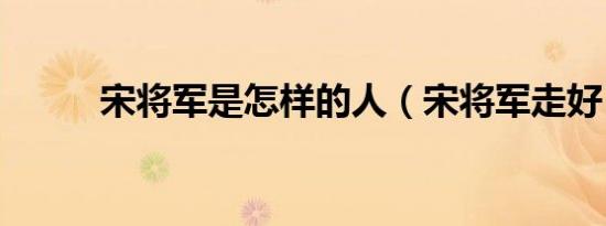 宋将军是怎样的人（宋将军走好）