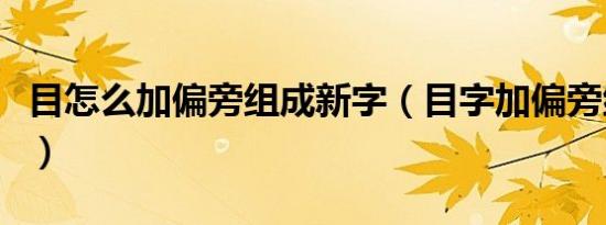 目怎么加偏旁组成新字（目字加偏旁组成新字）
