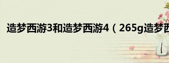 造梦西游3和造梦西游4（265g造梦西游3）