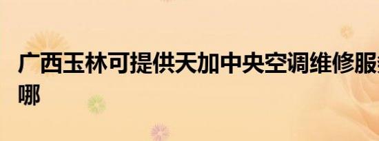 广西玉林可提供天加中央空调维修服务地址在哪