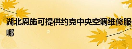 湖北恩施可提供约克中央空调维修服务地址在哪