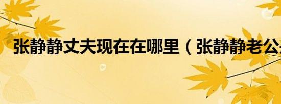 张静静丈夫现在在哪里（张静静老公是谁）