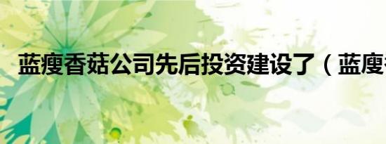 蓝瘦香菇公司先后投资建设了（蓝廋香菇）