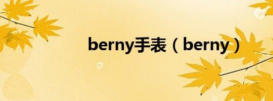 berny手表（berny）
