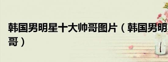 韩国男明星十大帅哥图片（韩国男明星十大帅哥）