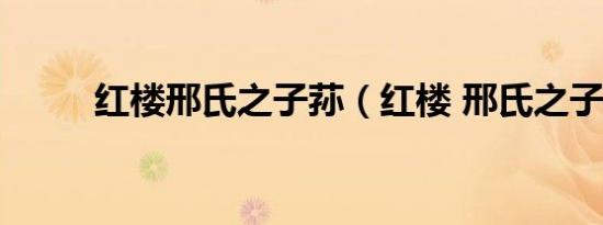 红楼邢氏之子荪（红楼 邢氏之子）