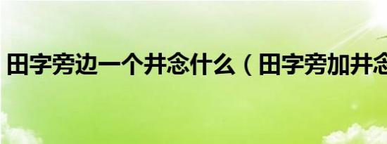 田字旁边一个井念什么（田字旁加井念什么）