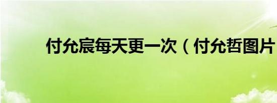 付允宸每天更一次（付允哲图片）