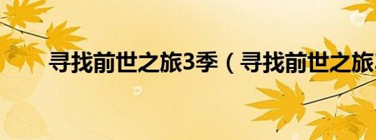 寻找前世之旅3季（寻找前世之旅3）
