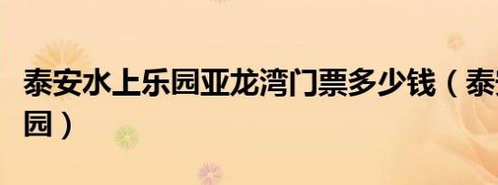 泰安水上乐园亚龙湾门票多少钱（泰安水上乐园）
