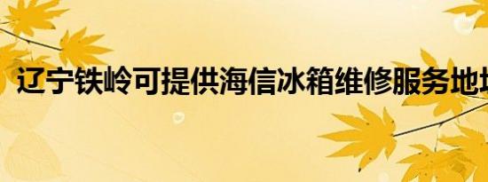 辽宁铁岭可提供海信冰箱维修服务地址在哪