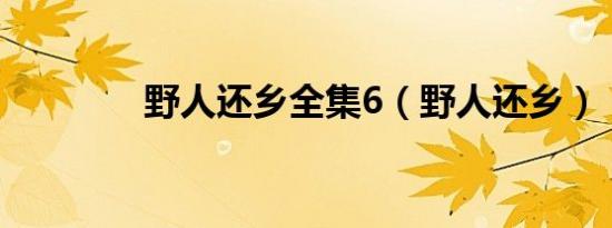 野人还乡全集6（野人还乡）