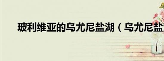玻利维亚的乌尤尼盐湖（乌尤尼盐湖）