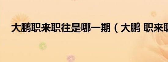 大鹏职来职往是哪一期（大鹏 职来职往）