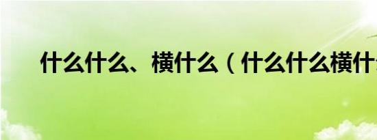 什么什么、横什么（什么什么横什么）