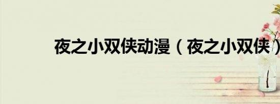 夜之小双侠动漫（夜之小双侠）