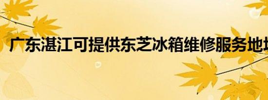 广东湛江可提供东芝冰箱维修服务地址在哪