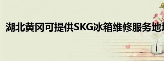 湖北黄冈可提供SKG冰箱维修服务地址在哪