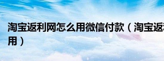 淘宝返利网怎么用微信付款（淘宝返利网怎么用）