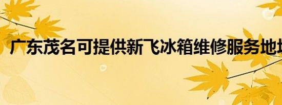 广东茂名可提供新飞冰箱维修服务地址在哪