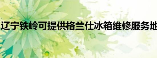 辽宁铁岭可提供格兰仕冰箱维修服务地址在哪
