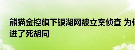 熊猫金控旗下银湖网被立案侦查 为何P2P都进了死胡同