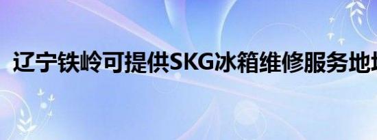 辽宁铁岭可提供SKG冰箱维修服务地址在哪