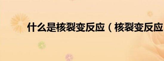 什么是核裂变反应（核裂变反应）