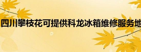 四川攀枝花可提供科龙冰箱维修服务地址在哪
