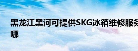 黑龙江黑河可提供SKG冰箱维修服务地址在哪