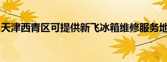 天津西青区可提供新飞冰箱维修服务地址在哪