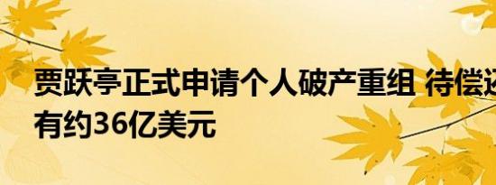 贾跃亭正式申请个人破产重组 待偿还债务仍有约36亿美元