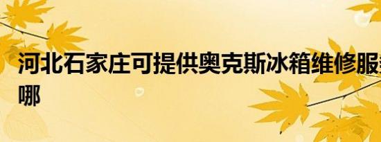 河北石家庄可提供奥克斯冰箱维修服务地址在哪