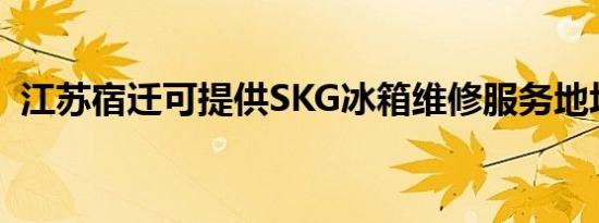 江苏宿迁可提供SKG冰箱维修服务地址在哪