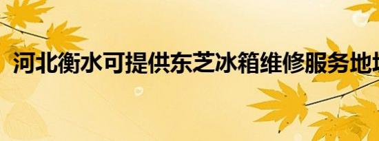 河北衡水可提供东芝冰箱维修服务地址在哪